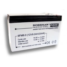 Аккумулятор 12V 9A/h ( 6FM9.0 ) profi
